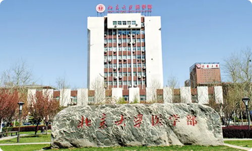 北京大学医学部と業務提携（医学生留学スタート）